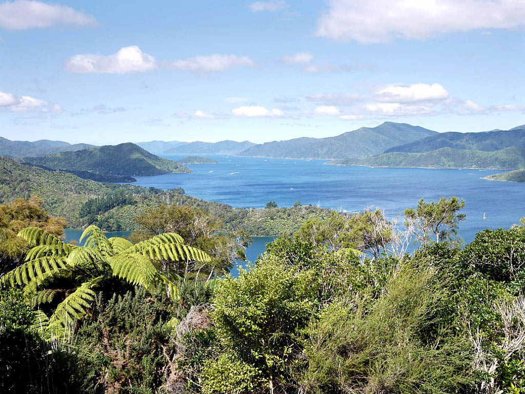 Te Araroa: 12. Von Wellington über Picton nach Havelock