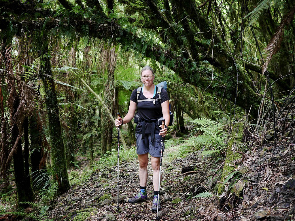 Te Araroa: 11. Von Whanganui nach Wellington