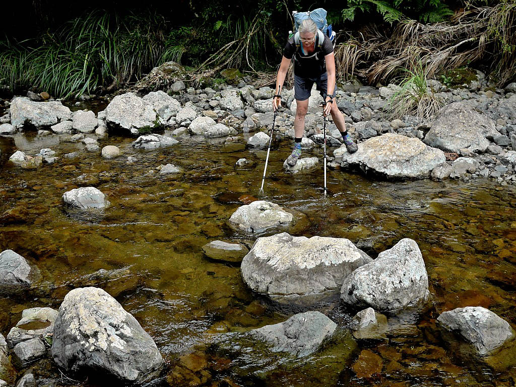 Te Araroa: 11. Von Whanganui nach Wellington