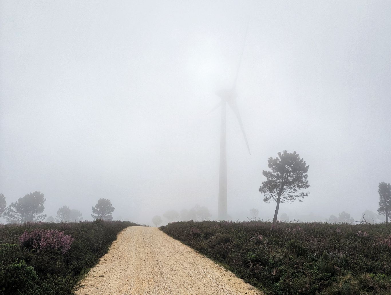 Via Algarviana: 2. Von Marmelete nach Monchique