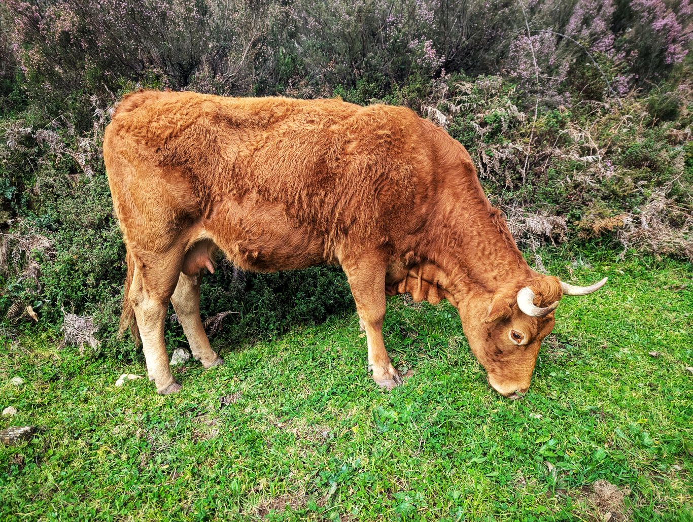 Via Algarviana: 2. Von Marmelete nach Monchique