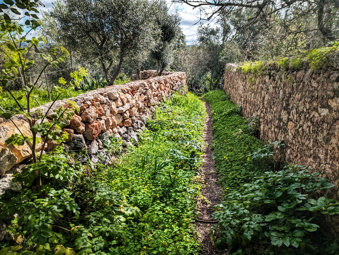 Via Algarviana: 7. Von Salir nach Barranco do Velho