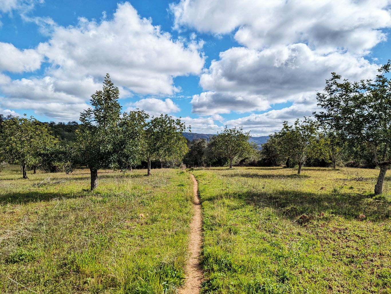 Via Algarviana: 7. Von Salir nach Barranco do Velho