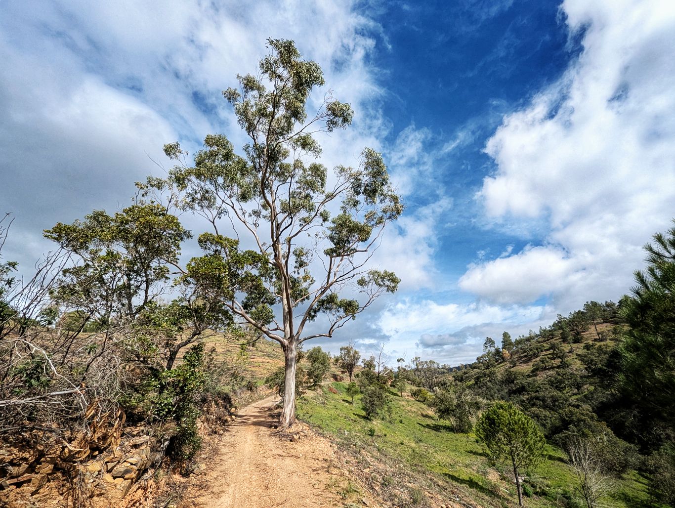 Via Algarviana: 7. Von Salir nach Barranco do Velho