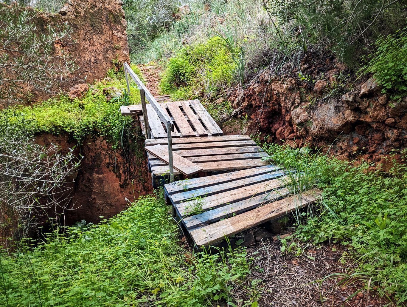 Via Algarviana: 5. Von Sao Bartolomeu nach Alte