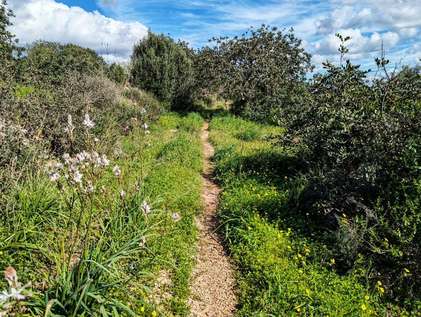 Via Algarviana: 5. Von Sao Bartolomeu nach Alte