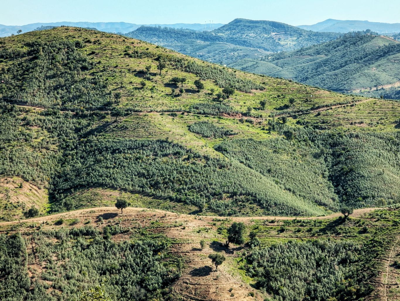 Via Algarviana: 4. Von Silves nach Sao Bartolomeu