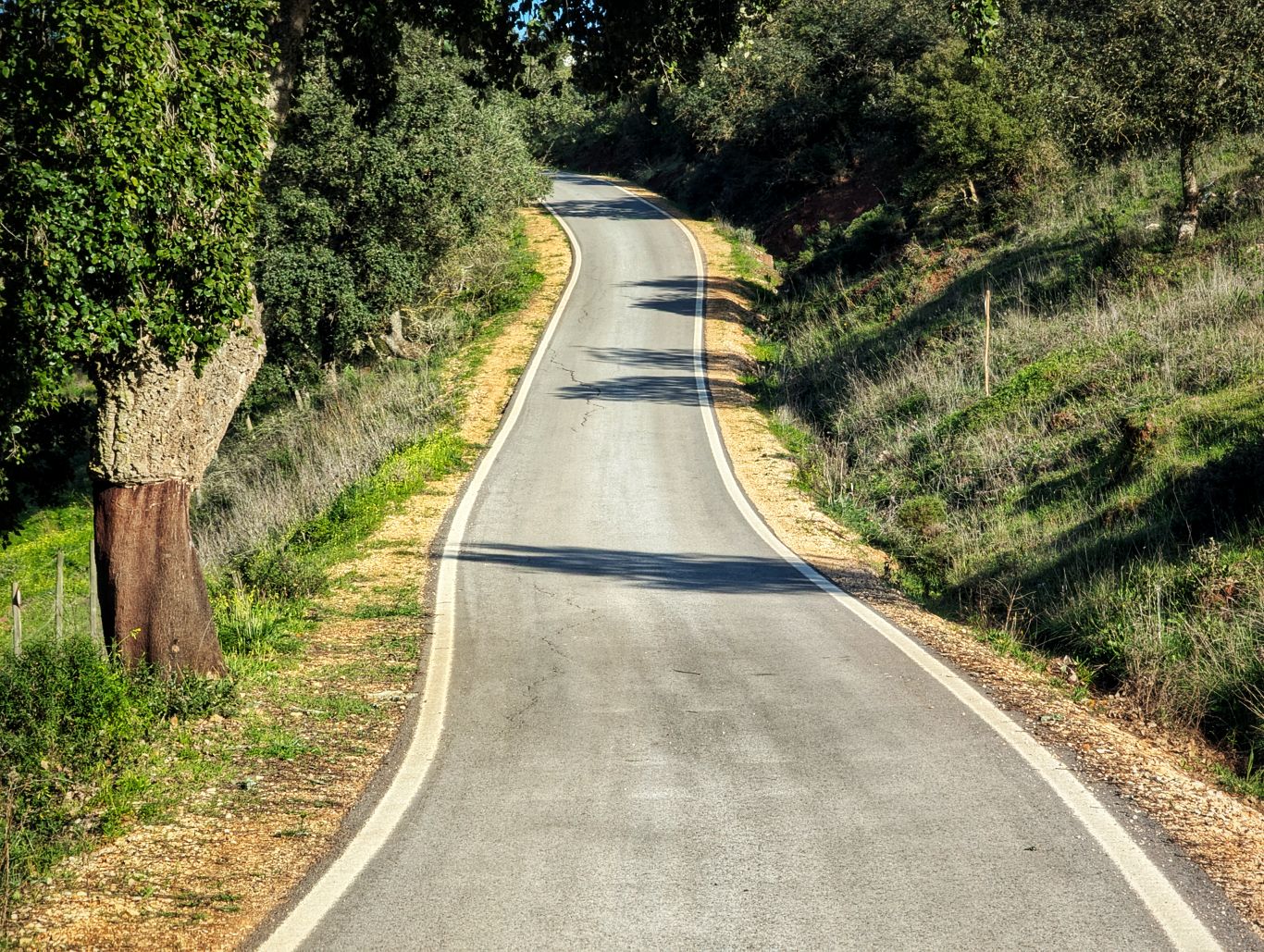 Via Algarviana: 4. Von Silves nach Sao Bartolomeu