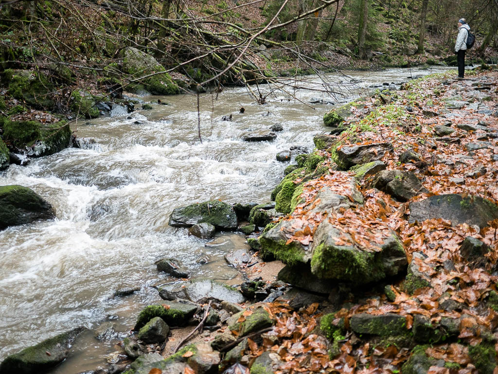 Wanderungen im Bayerischen Wald