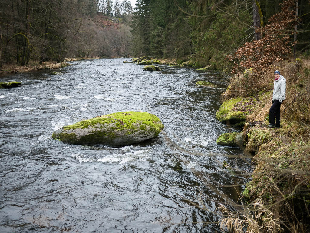 Wanderungen im Bayerischen Wald