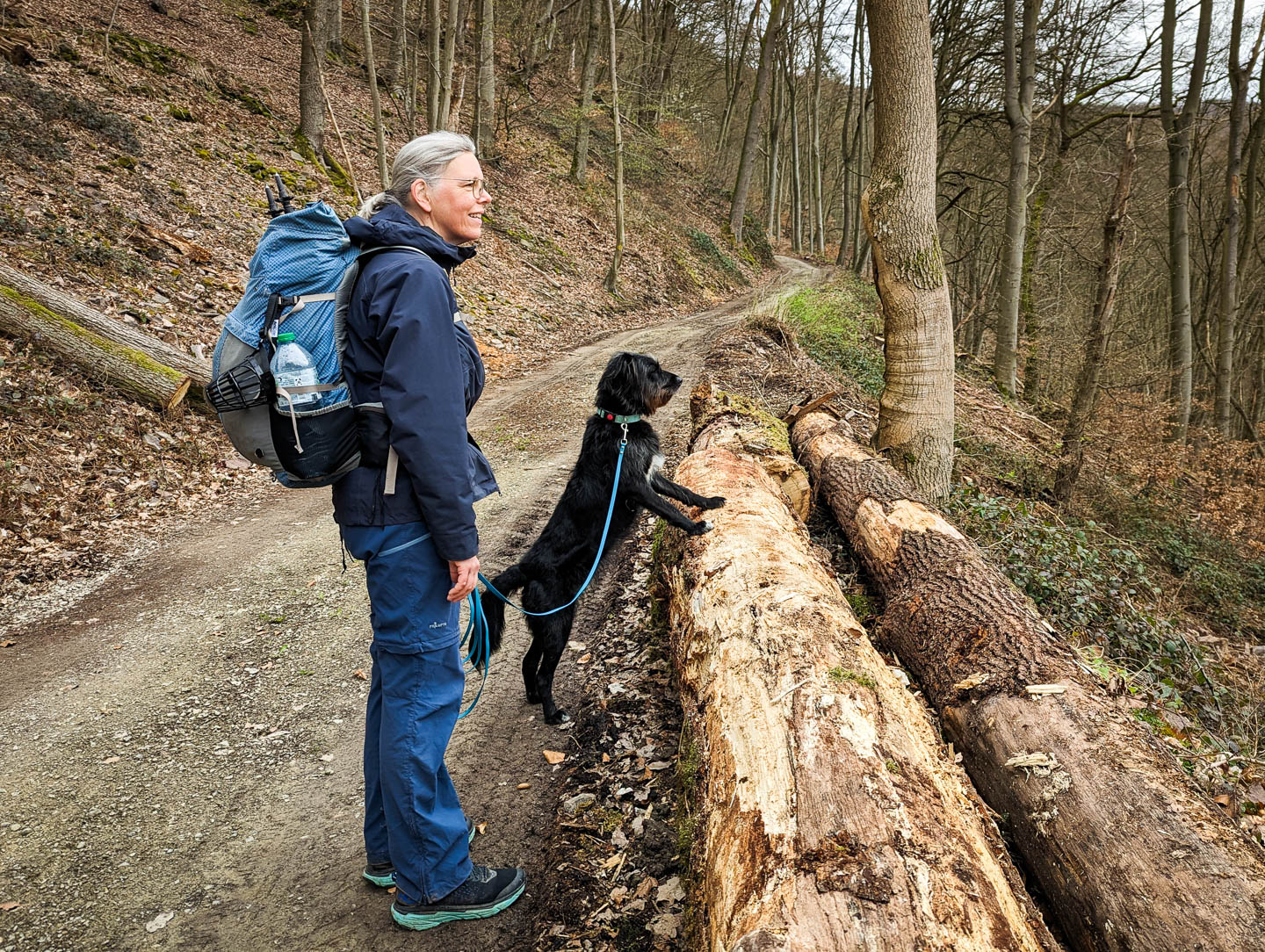 Weserberglandweg: 9. Von Bad Karlshafen nach Gottsbüren