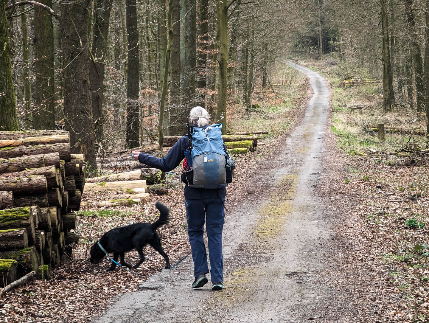 Weserberglandweg: 9. Von Bad Karlshafen nach Gottsbüren