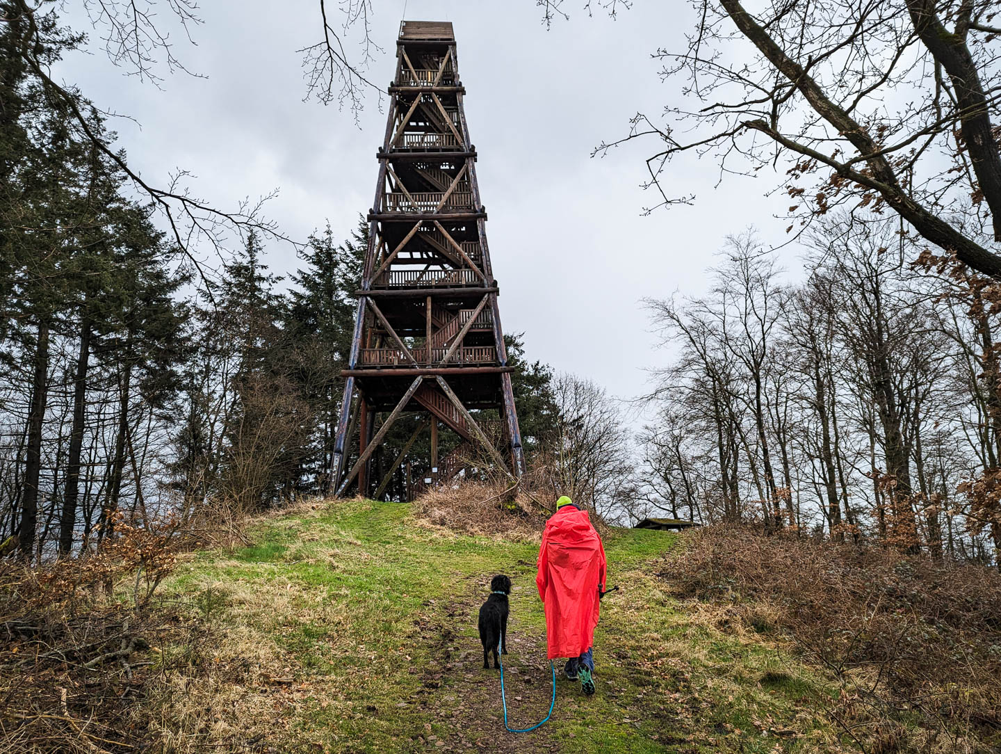 Weserberglandweg: 6. Von Bodenwerder nach Stadtoldendorf