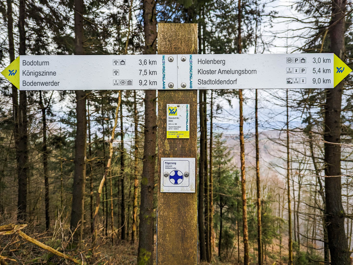 Weserberglandweg: 6. Von Bodenwerder nach Stadtoldendorf