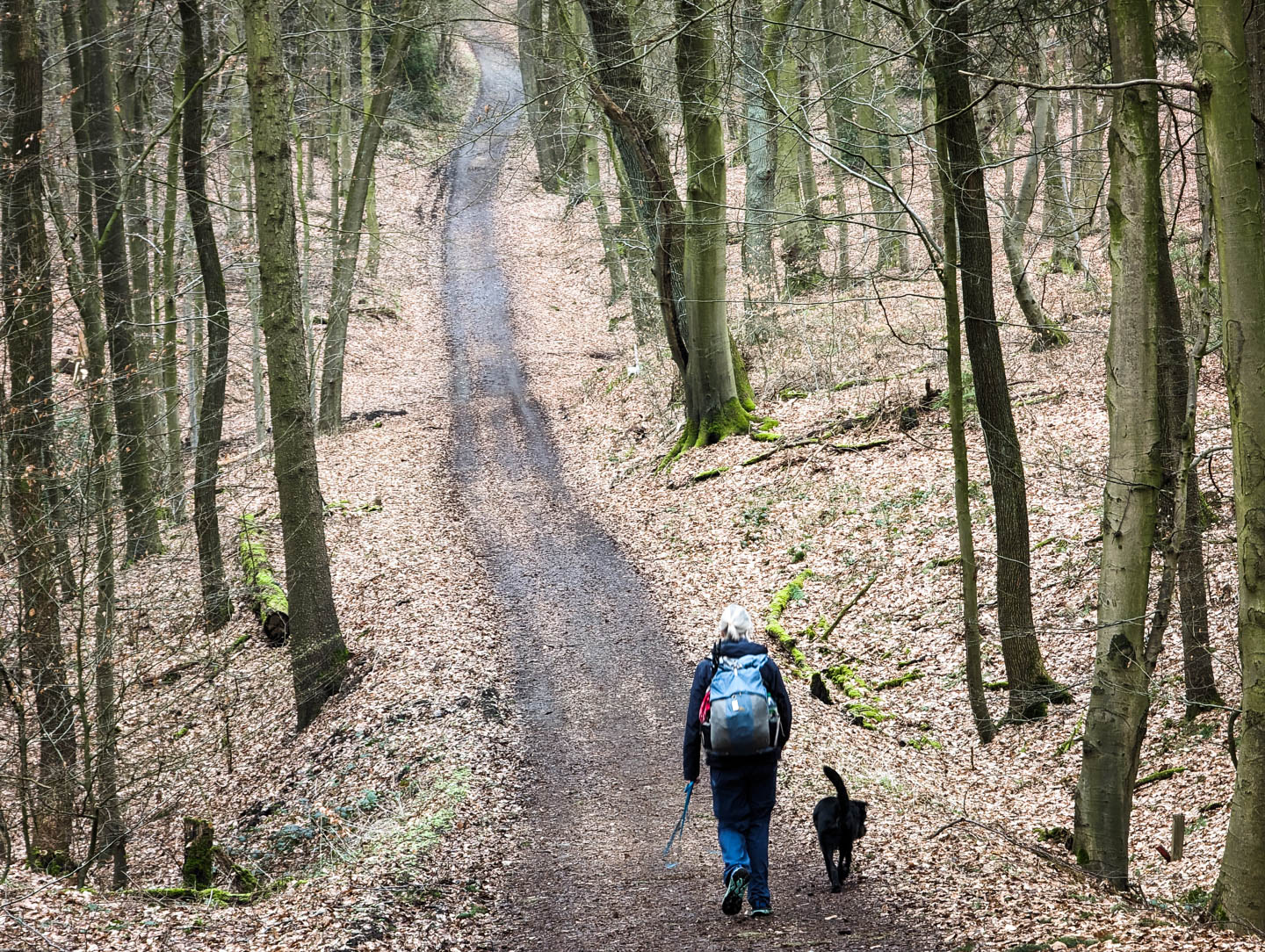 Weserberglandweg: 1. Von Porta Westfalica nach Kleinenbremen