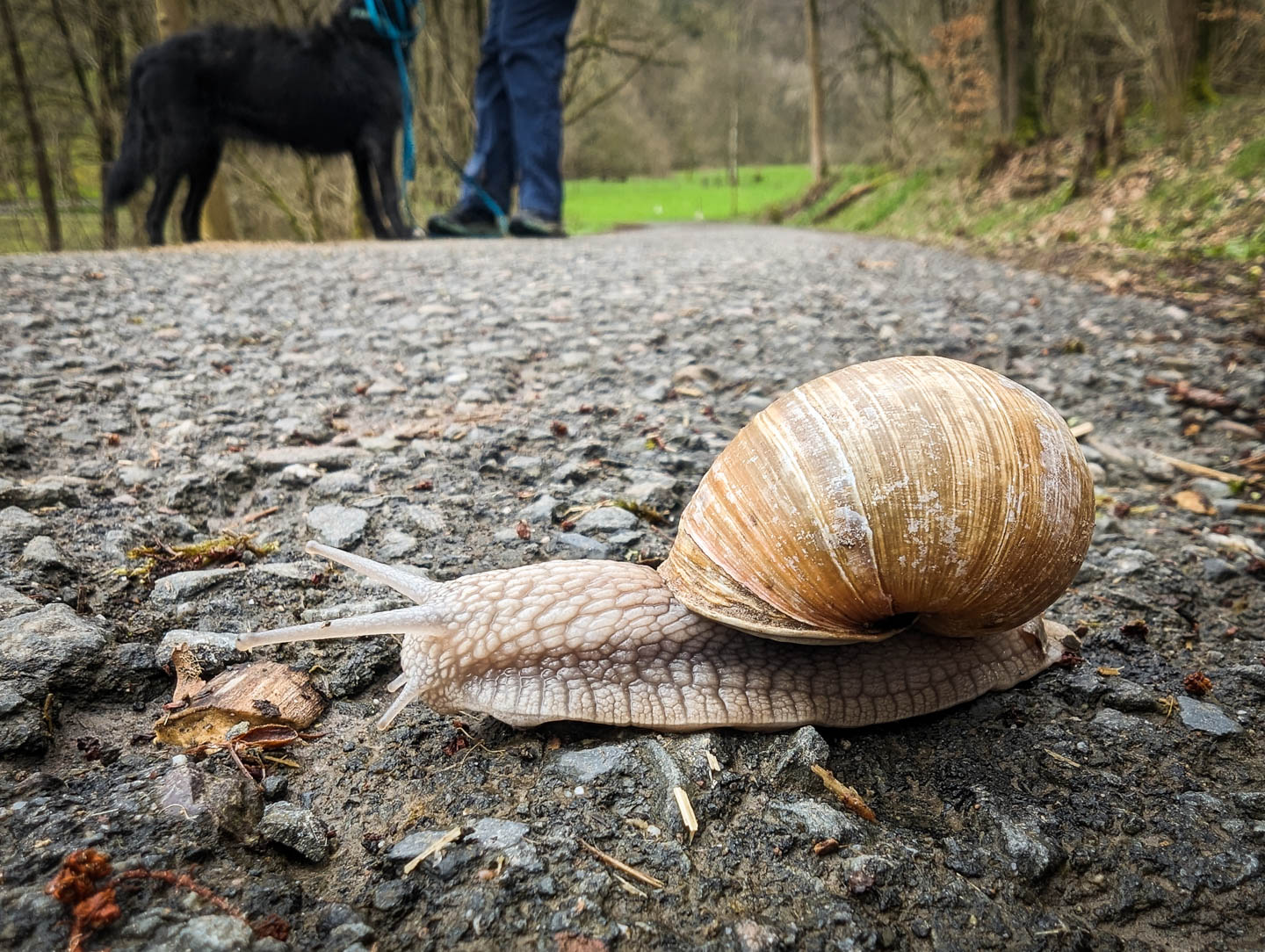 Weserberglandweg: 11. Von Reinhardshagen nach Hann. Münden