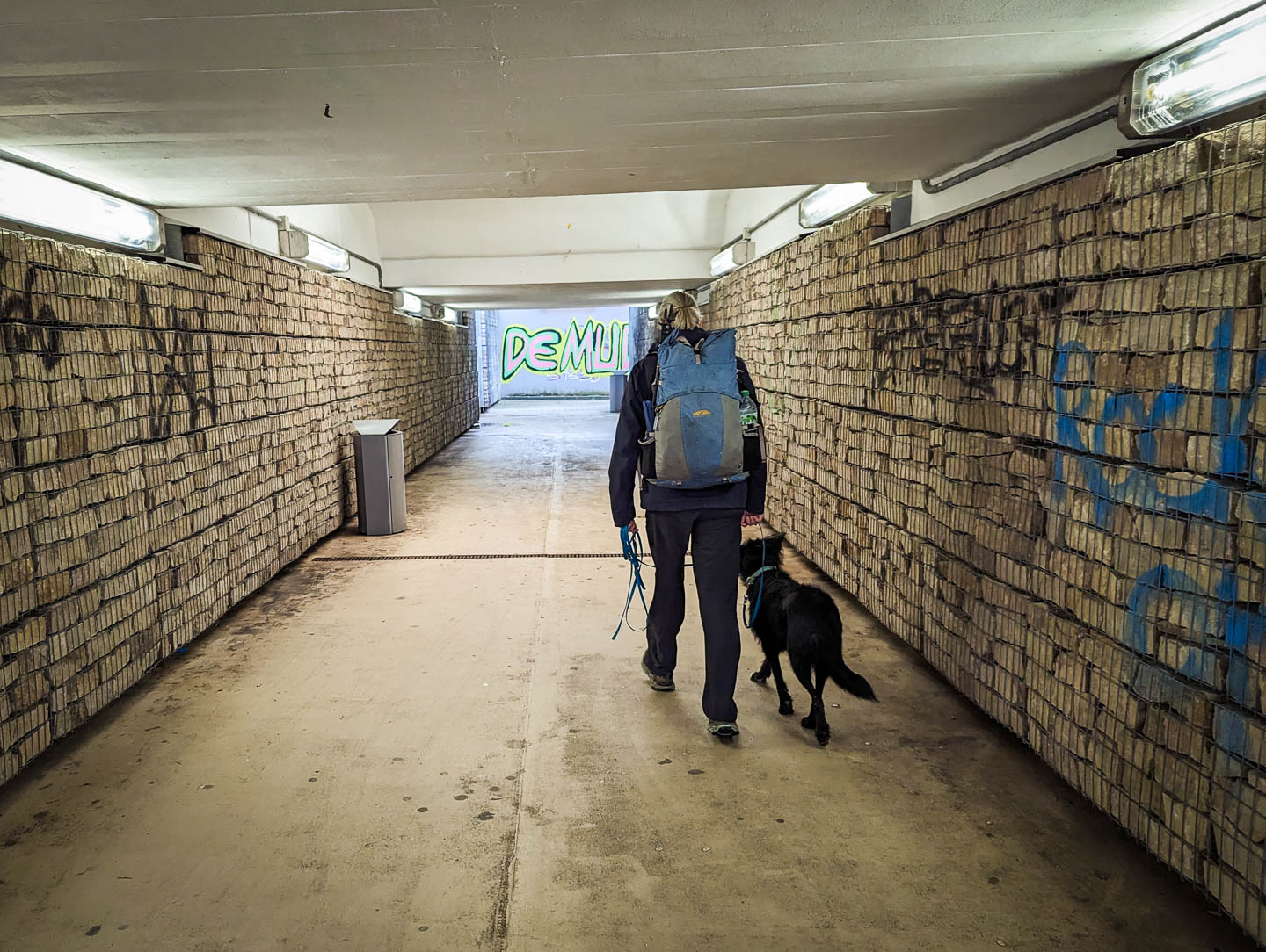 Weserberglandweg: 11. Von Reinhardshagen nach Hann. Münden