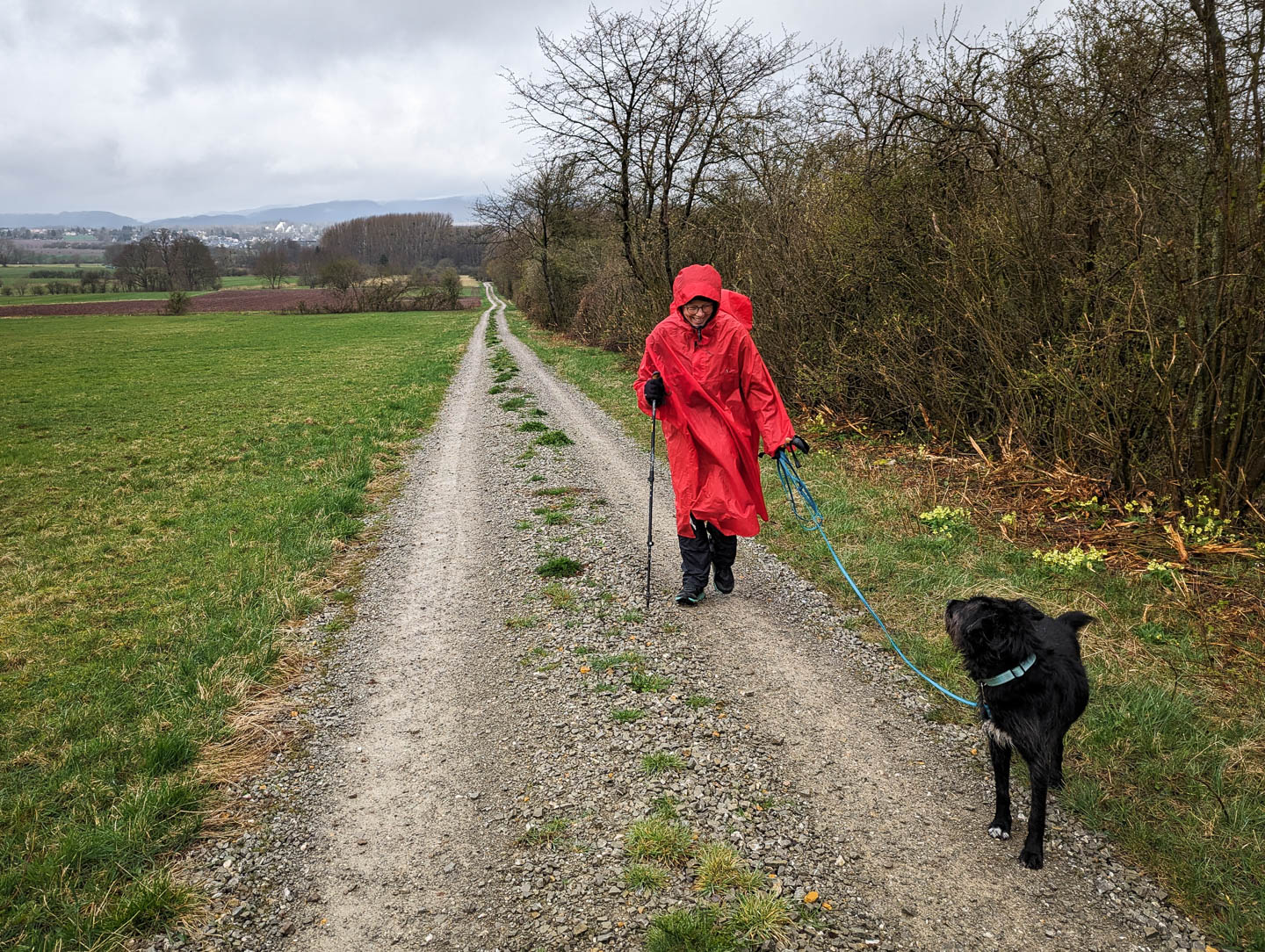 Weserberglandweg: 7. Von Stadtoldendorf nach Fohlenplacken