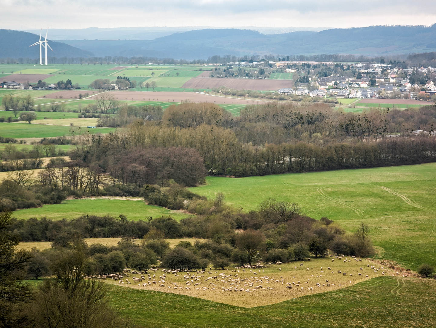 Weserberglandweg: 7. Von Stadtoldendorf nach Fohlenplacken