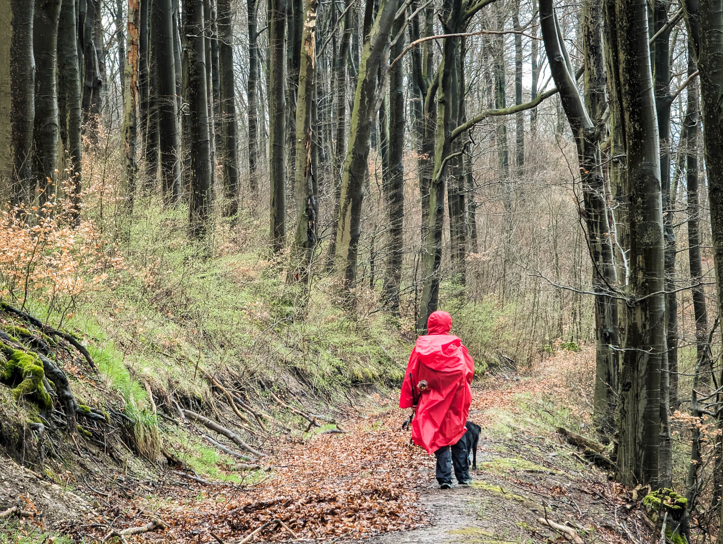 Weserberglandweg: 7. Von Stadtoldendorf nach Fohlenplacken