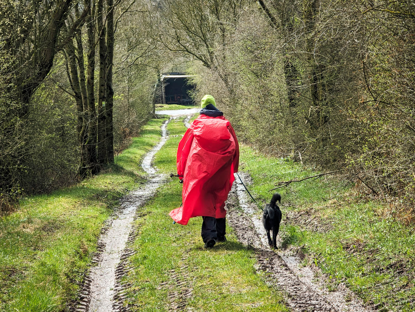 Weserberglandweg: 7. Von Stadtoldendorf nach Fohlenplacken