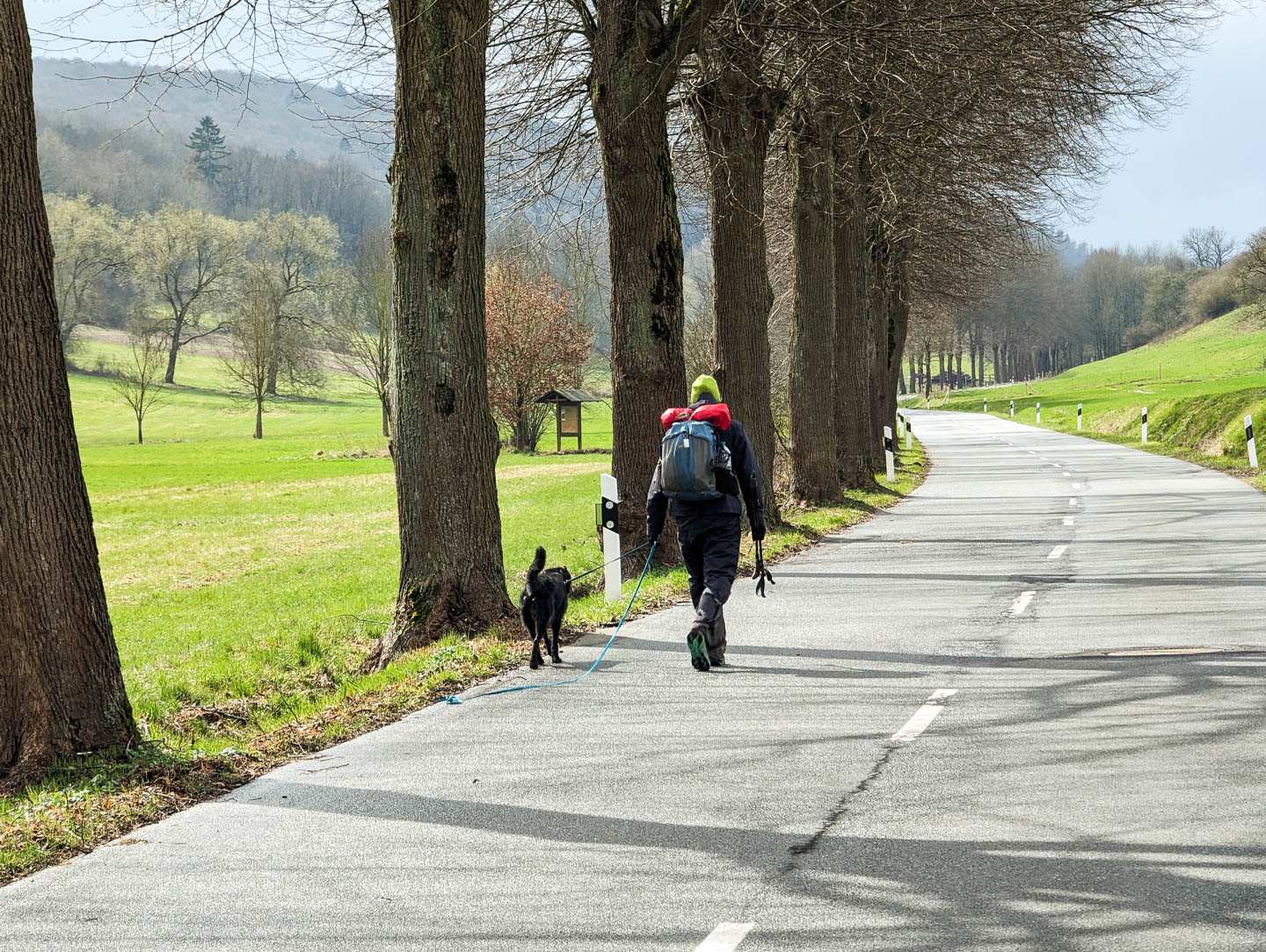 Weserberglandweg: 7. Von Stadtoldendorf nach Fohlenplacken