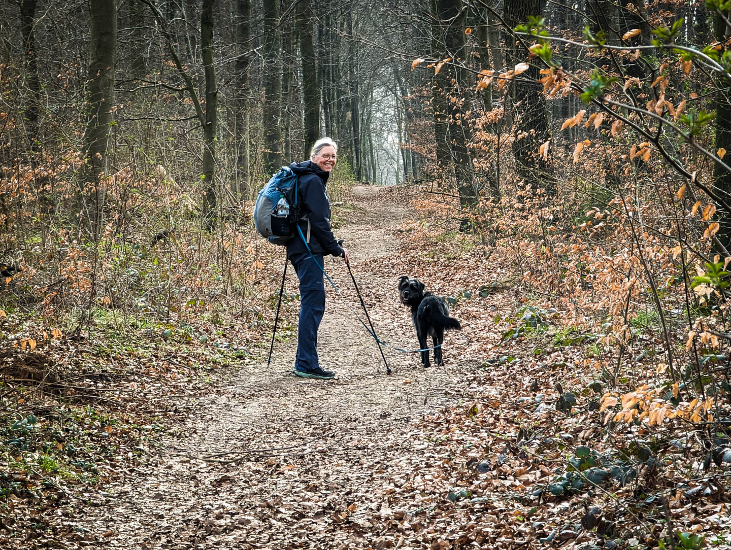 Weserberglandweg: 3. Von der Villa Schaumburg zur Pappmühle