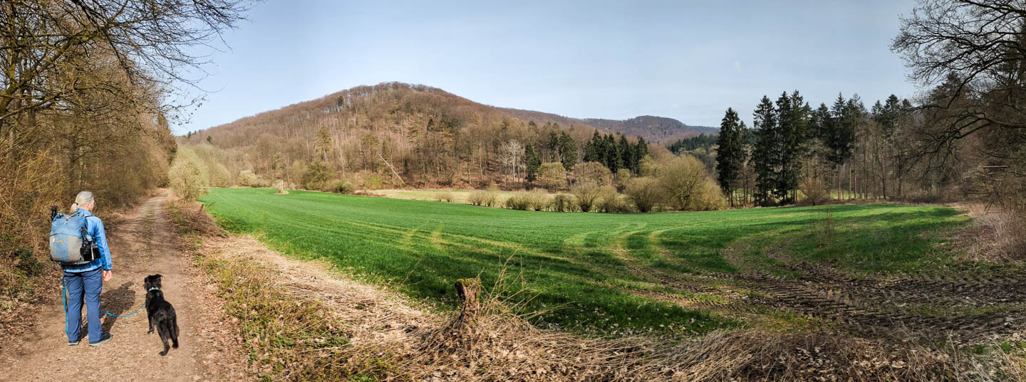 Weserberglandweg: 3. Von der Villa Schaumburg zur Pappmühle