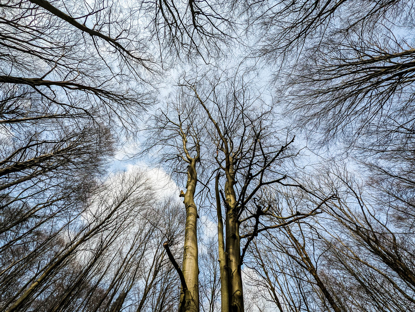 Weserberglandweg: 3. Von der Villa Schaumburg zur Pappmühle