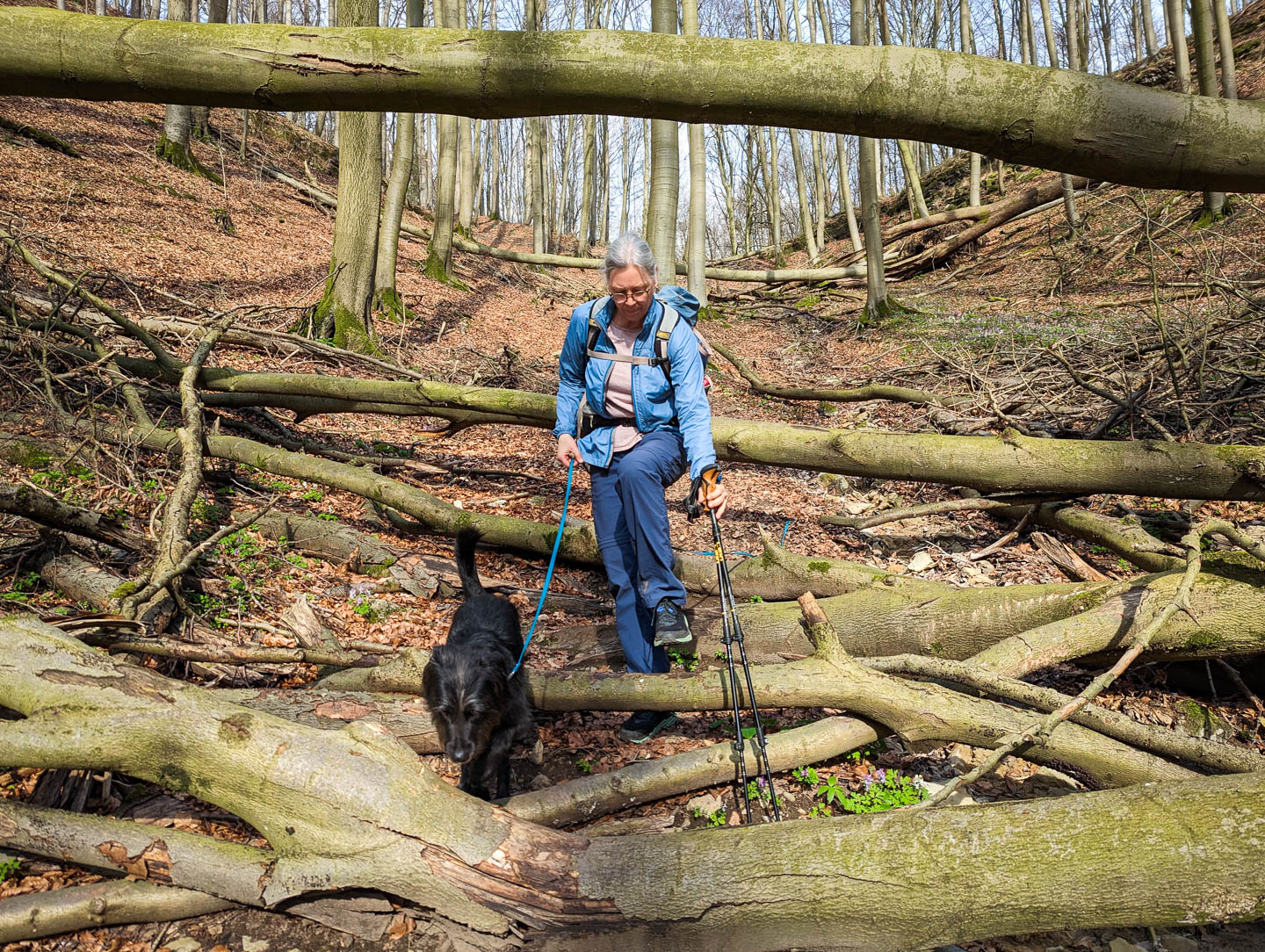 Weserberglandweg: 3. Von der Villa Schaumburg zur Pappmühle