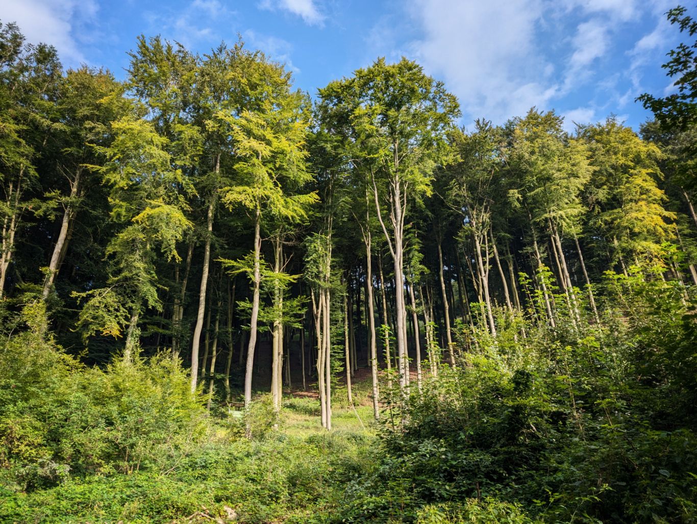 Ein Wochenende: Im Wiehengebirge