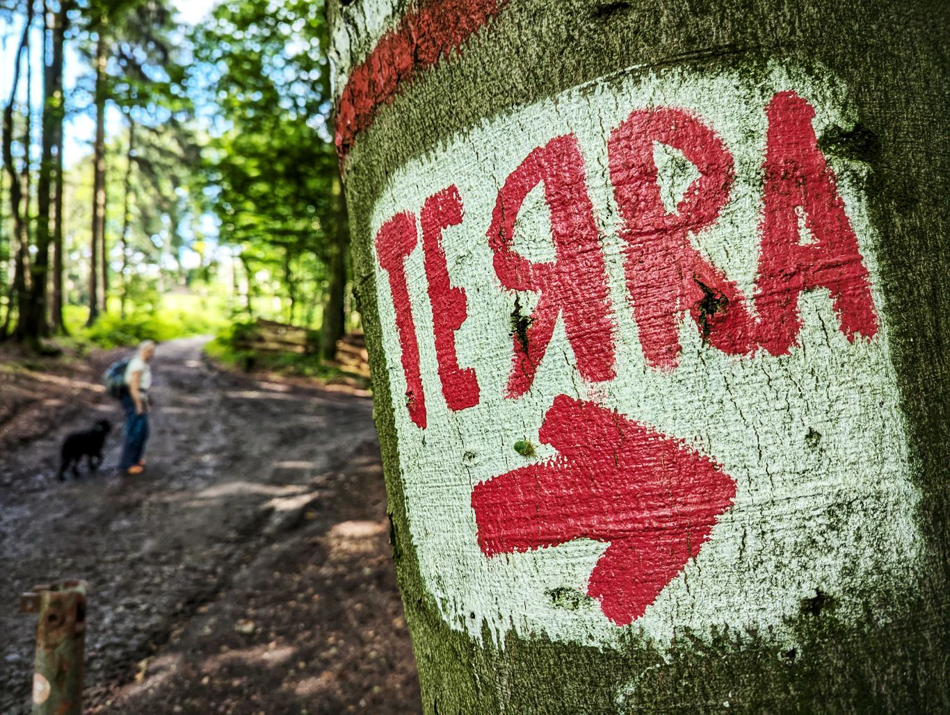 Ein Wochenende: Im Wiehengebirge