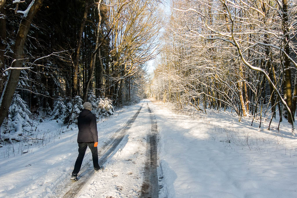 Winter-Wanderung im Häsebusch und Planungen in Corona-Zeiten