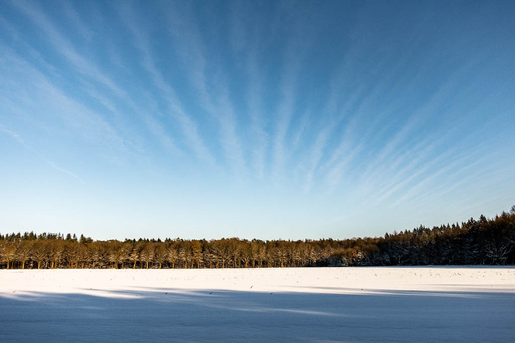 Winter-Wanderung im Häsebusch und Planungen in Corona-Zeiten