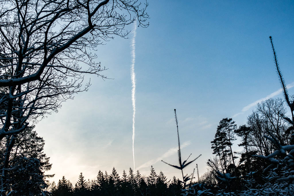 Winter-Wanderung im Häsebusch und Planungen in Corona-Zeiten