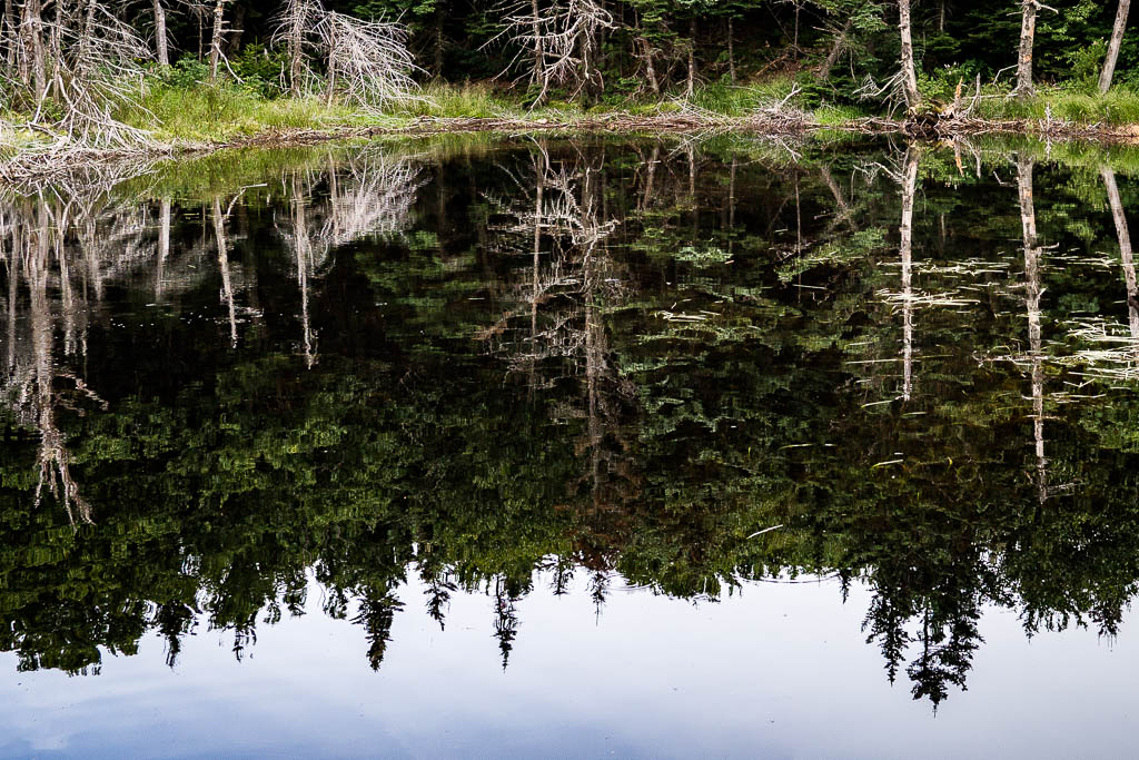 Der See mit dem Loch im Boden, Mt. Greylock, USA